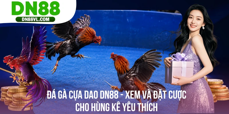 Đá Gà Cựa Dao DN88 - Xem Và Đặt Cược Cho Hùng Kê Yêu Thích