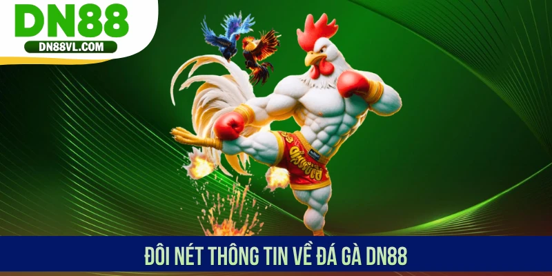 Đôi nét thông tin về đá gà DN88